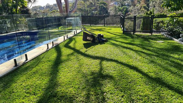 Lawn mower on a freshly cut lawn beside a glass pool fence