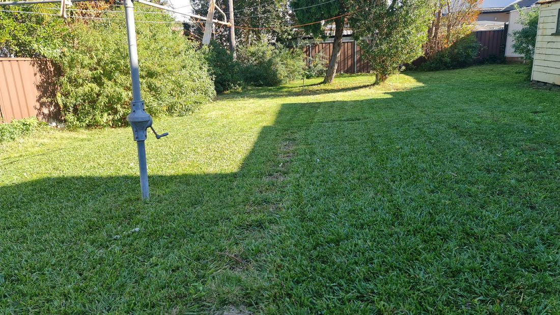 Mown back lawn with a clothes line and timber fences