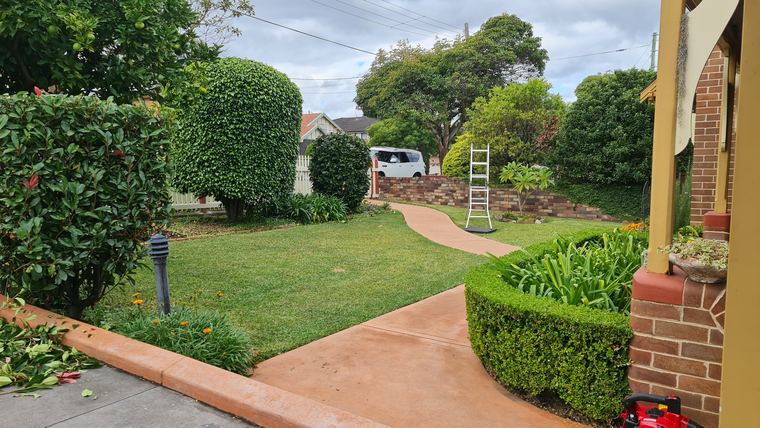 Front garden with a lawn, shaped shrubs and curved pathway