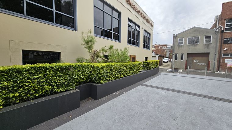 Neatly trimmed hedges in raised planters alongside a building