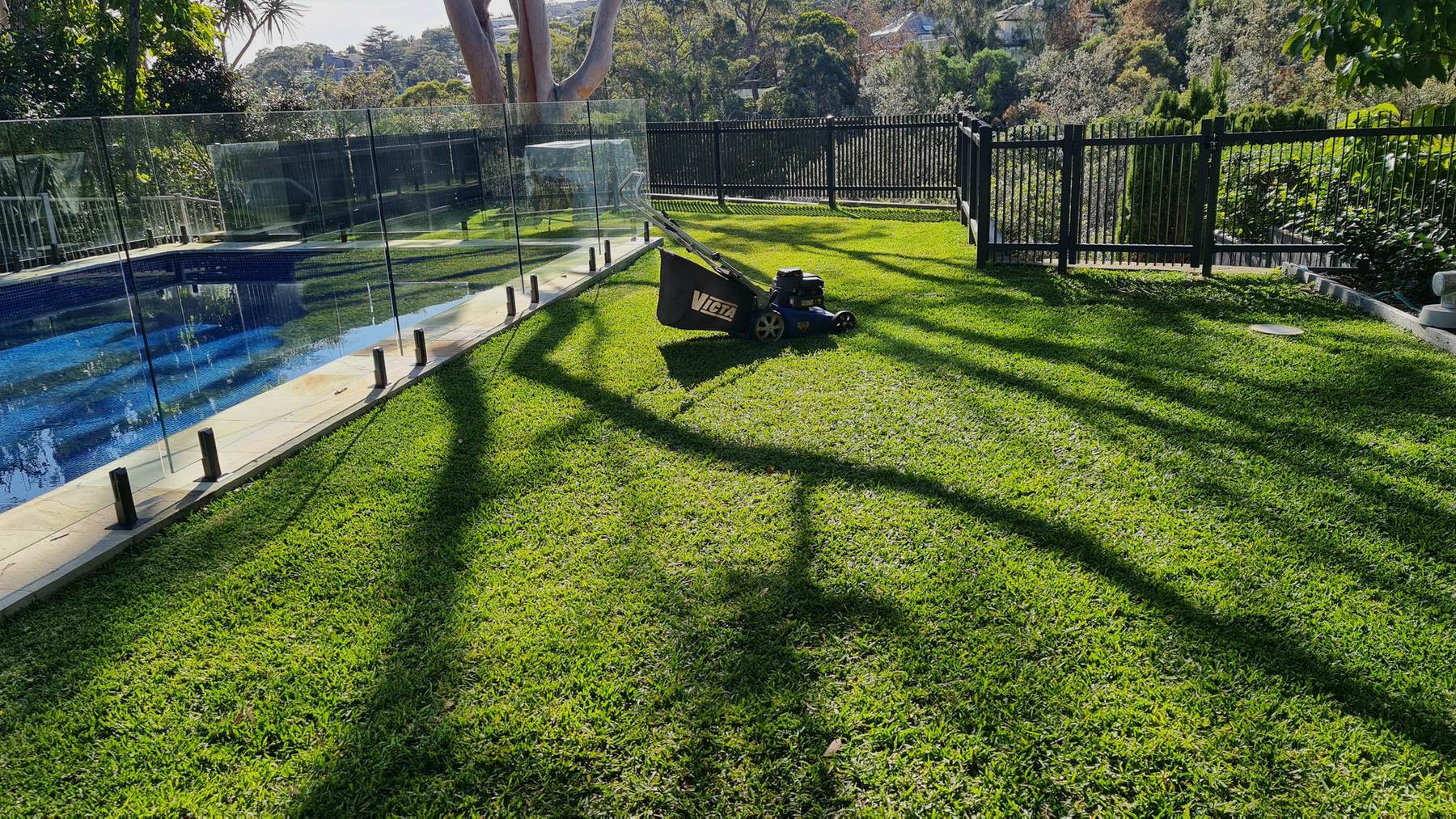 Lawn mower on a freshly cut lawn beside a glass pool fence